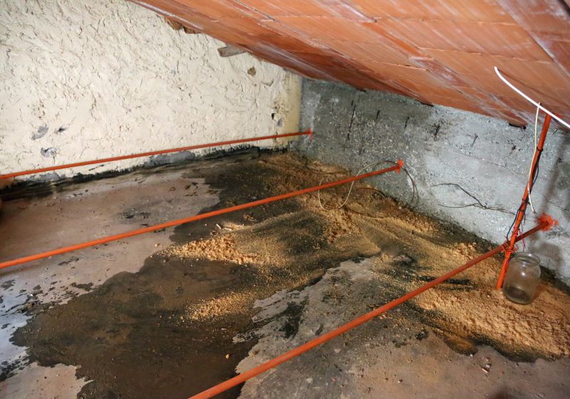 Building Damage Repair in Conroe, TX