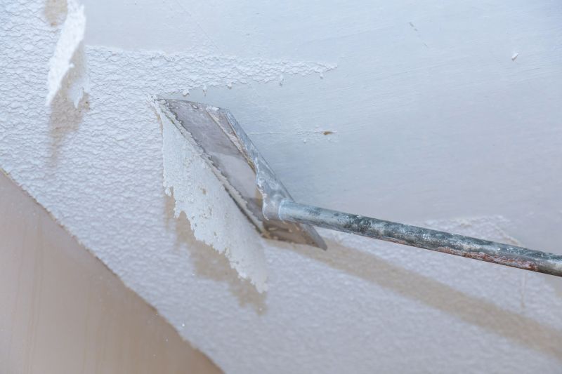 Ceiling Removal Service in Santa Rosa, CA