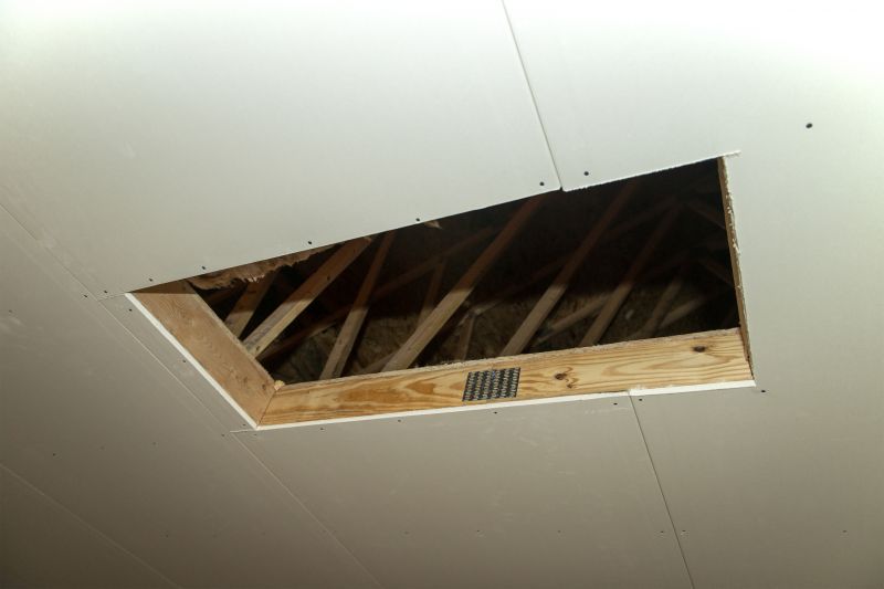Attic Water Damage Repair in Summerville, SC