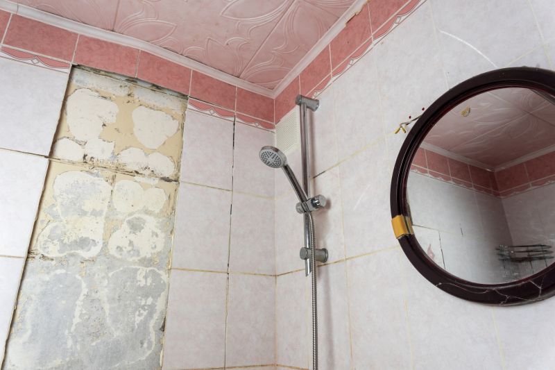 Bathroom Water Damage Repair in Denver, CO