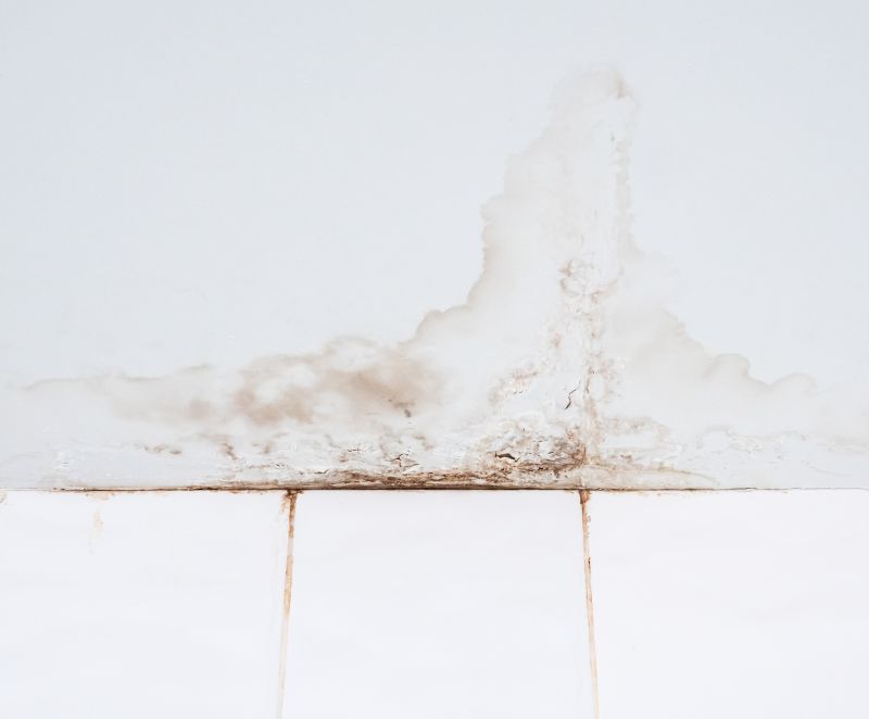 Ceiling Leak Repair Service in Alpharetta, GA