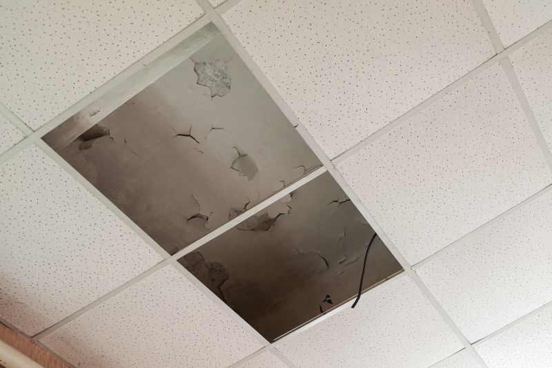 Ceiling Leak Repair Service in Denver County, CO