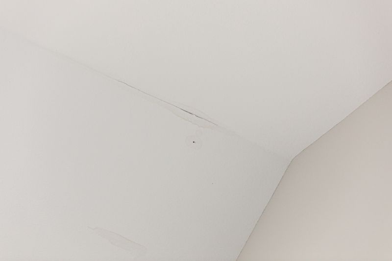 Ceiling Leak Repair Service in Summerville, SC