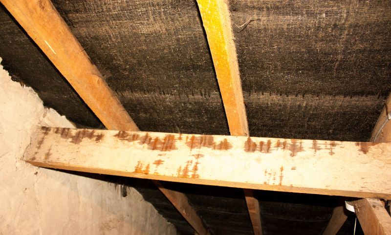 Water Damage Ceiling Repair in Denver, CO